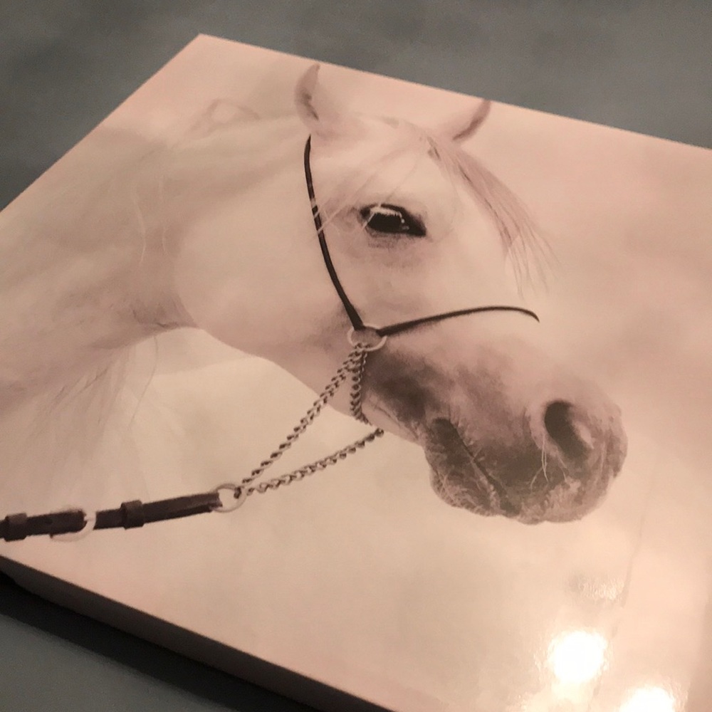Cute Horse Decorative Canvas